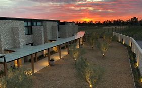 Viñedos San Francisco